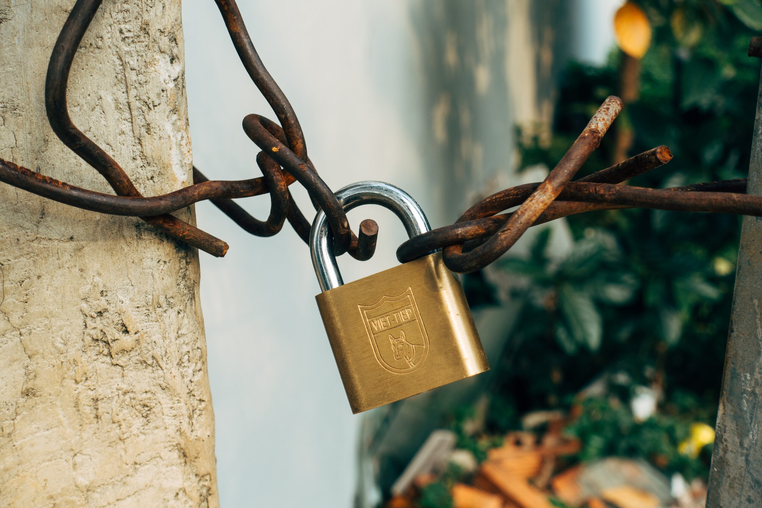 A shiny brass padlock connects two thick, rusty metal wires that appear to be part of some sort of fence.